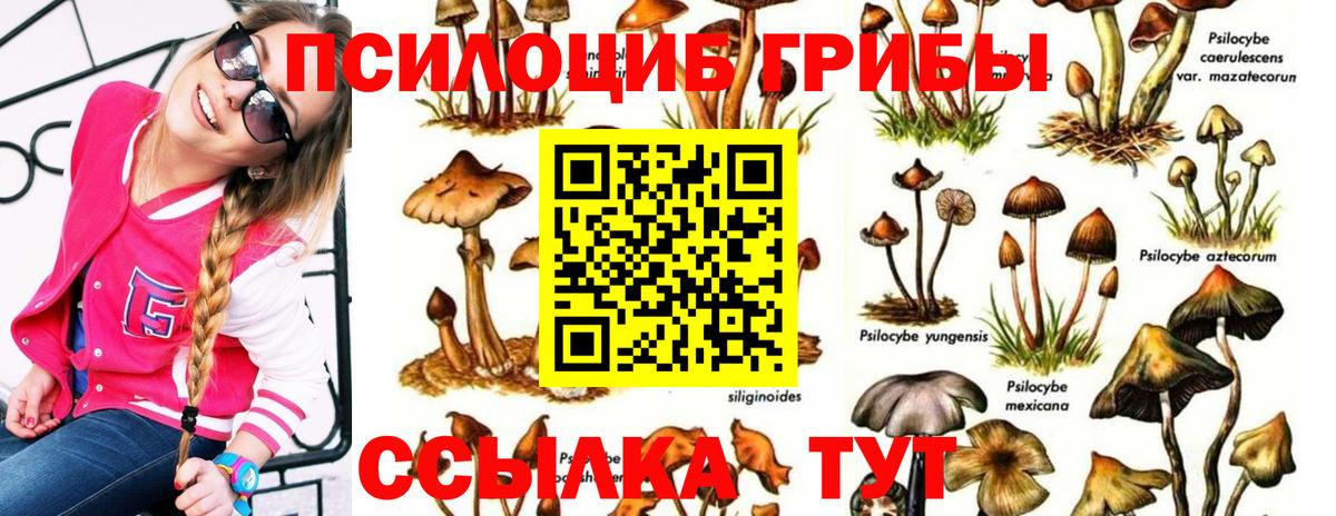 Псилоцибиновые грибы ЛСД  Вход с VPN  Галлюциногенные грибы прущие грибы  Новокубанск 